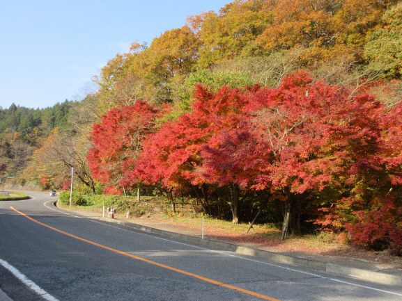 滝山公園の前の紅葉